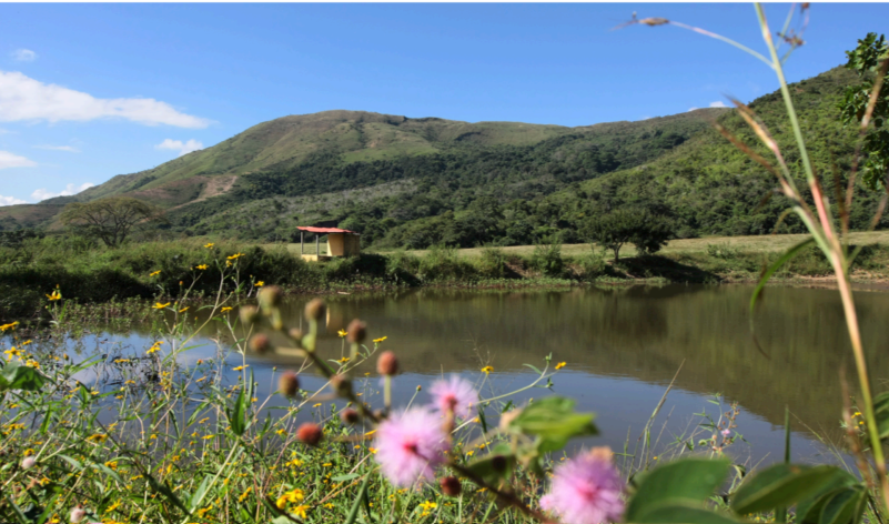 Se vende Hacienda 1659,39Ha  Bejuma, Carabobo - Otras fotos