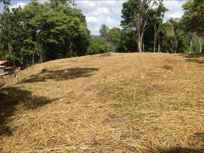 Se vende terreno 55343m² Sabaneta 1