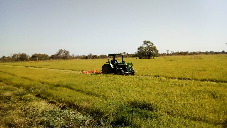 Se vende Finca 3650Has Guarico - Otras fotos