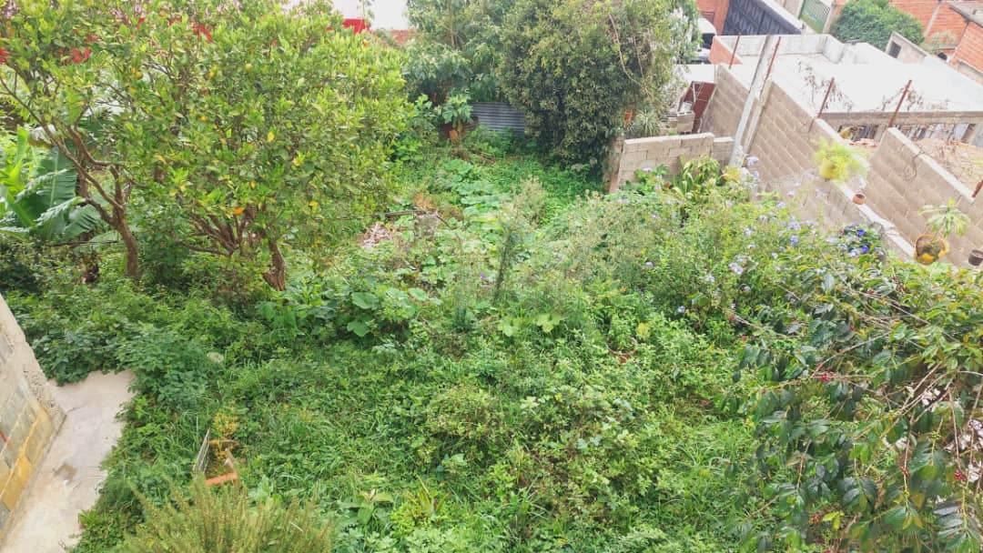 Se vende Casa 479m² 9h/7b/4p  El Junquito - Otras fotos