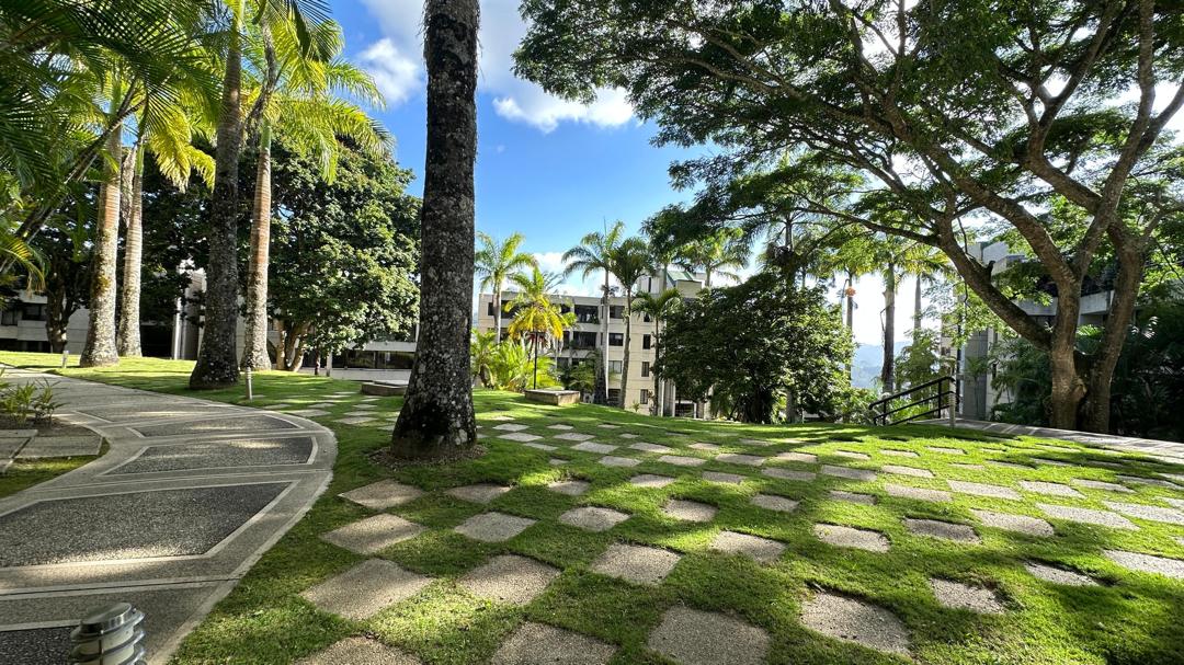 Se vende Apto PH 435m² 4h+1s/4b+1s/4p Alto Hatillo - Otras fotos