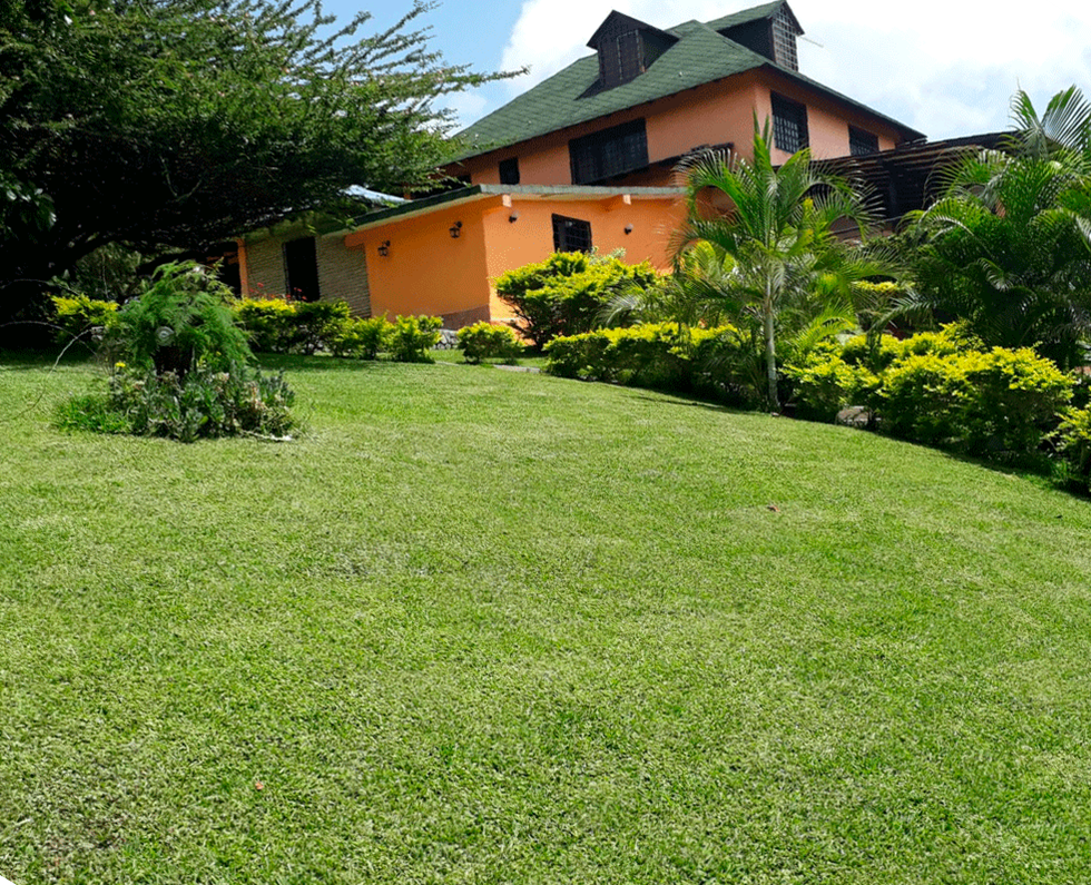 Se vende casa 4000m²  3h+s∕3b+s∕28p en Barquisimeto - Otras fotos