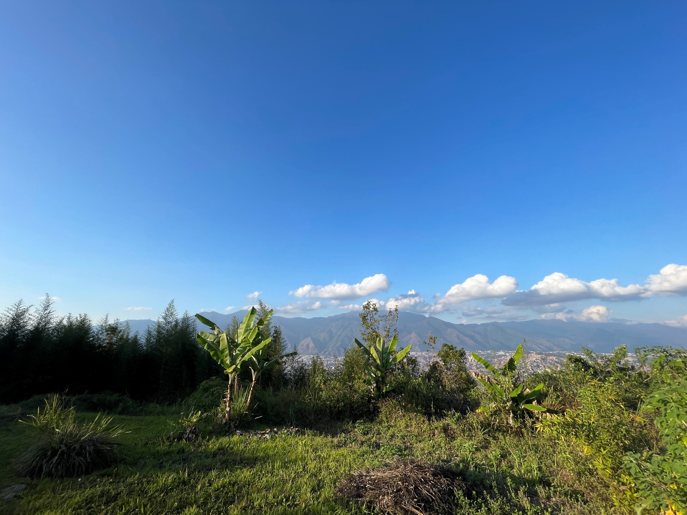 Se vende terreno Alto Hatillo 5244,49m² 2