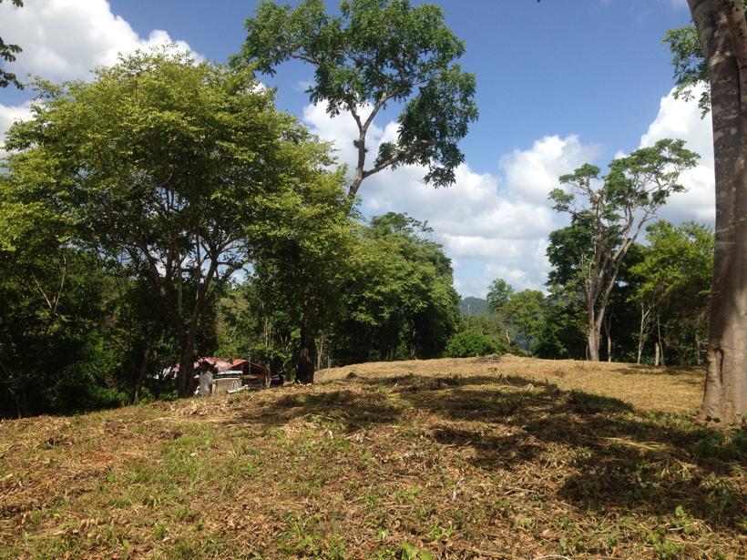 Se vende terreno 55343m² Sabaneta 2
