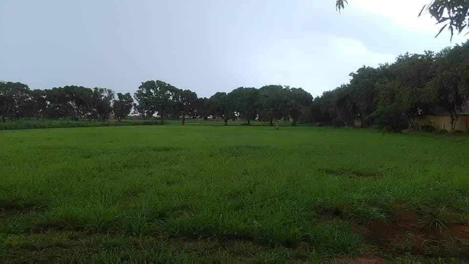 Se vende terreno 21514m² Anzoategui - Otras fotos