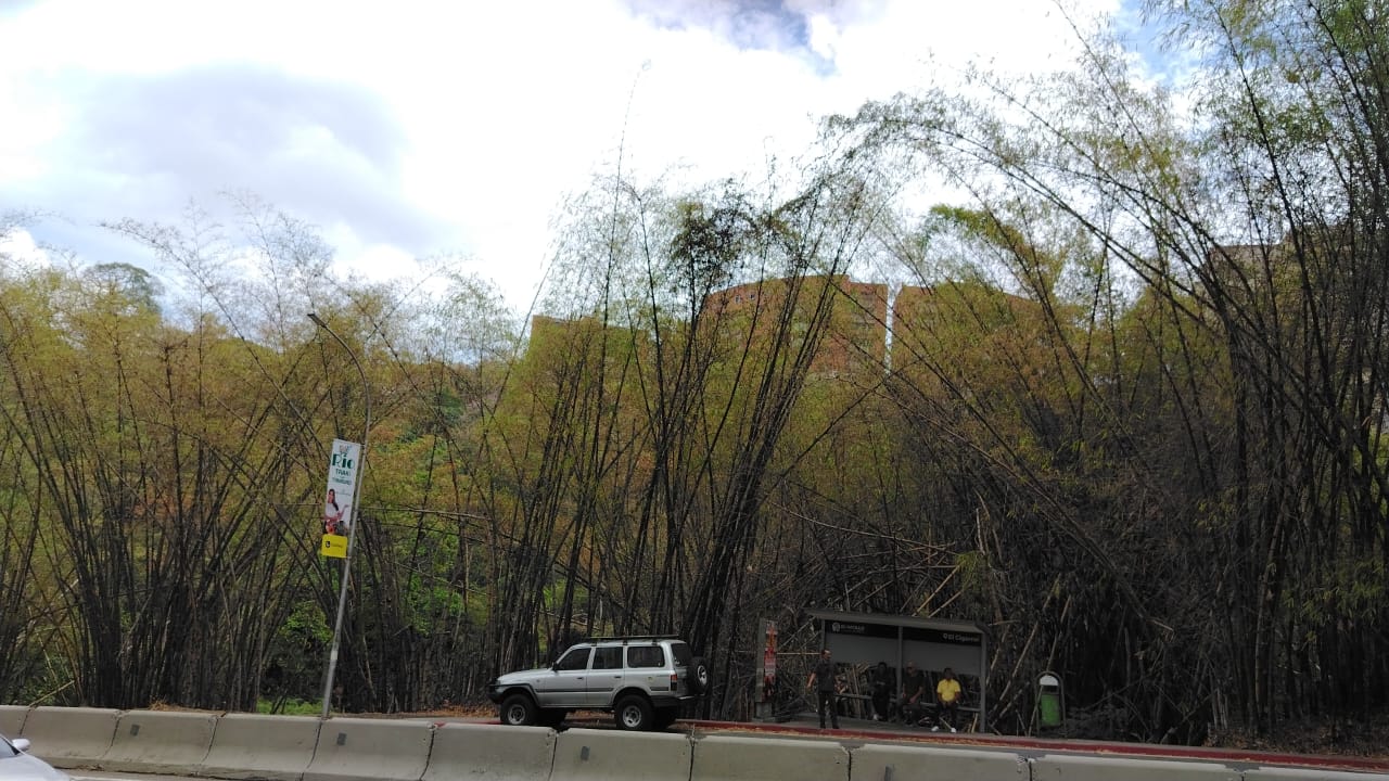 Se vende Terreno 18.000m² La Boyera 2
