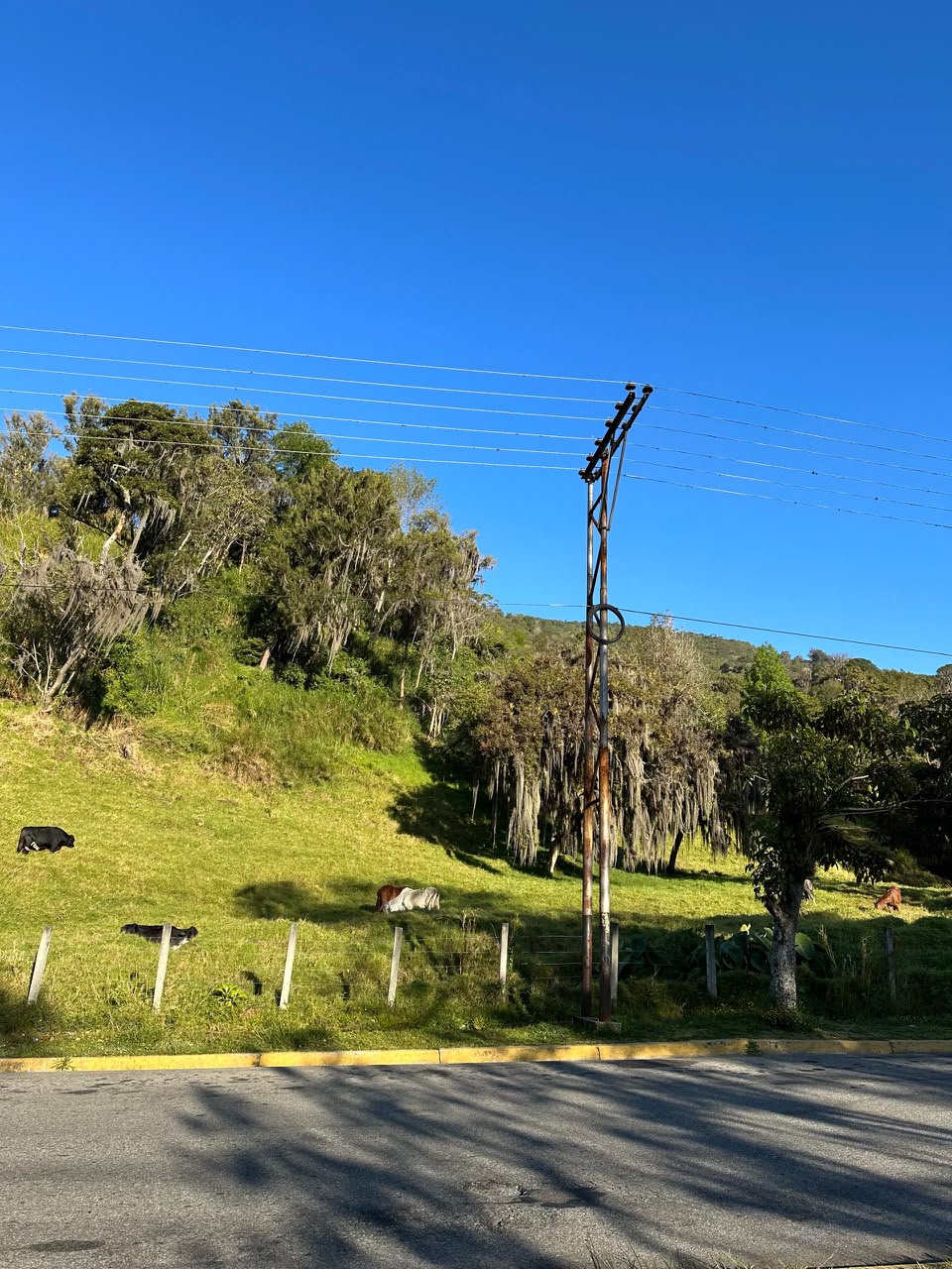 Se vende Hacienda/Finca 140.000m² Merida 2