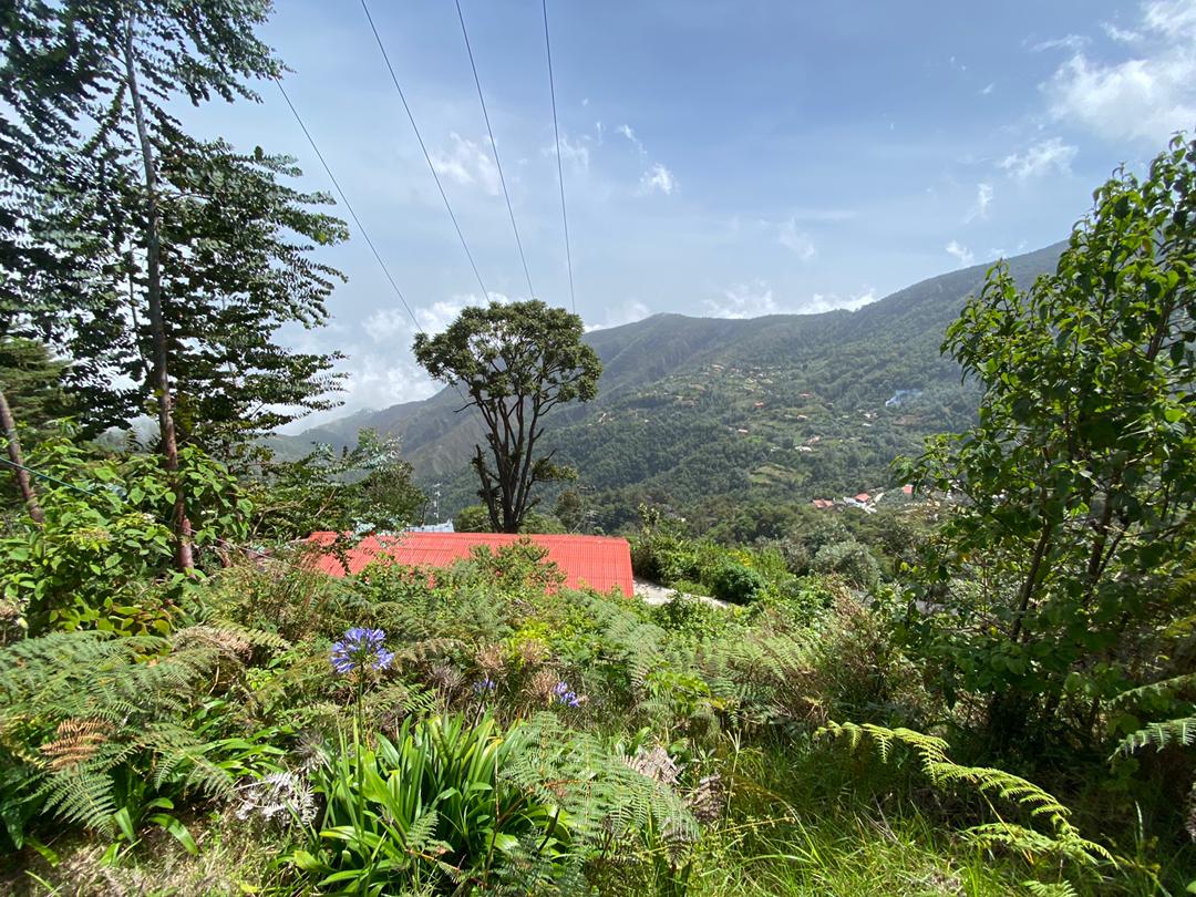 Se vende casa 2000m²  3h∕2b/8p en Galipan - Otras fotos