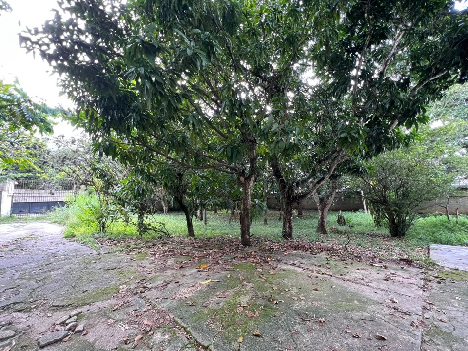 Se vende terreno 6570m² Los Chorros - Otras fotos