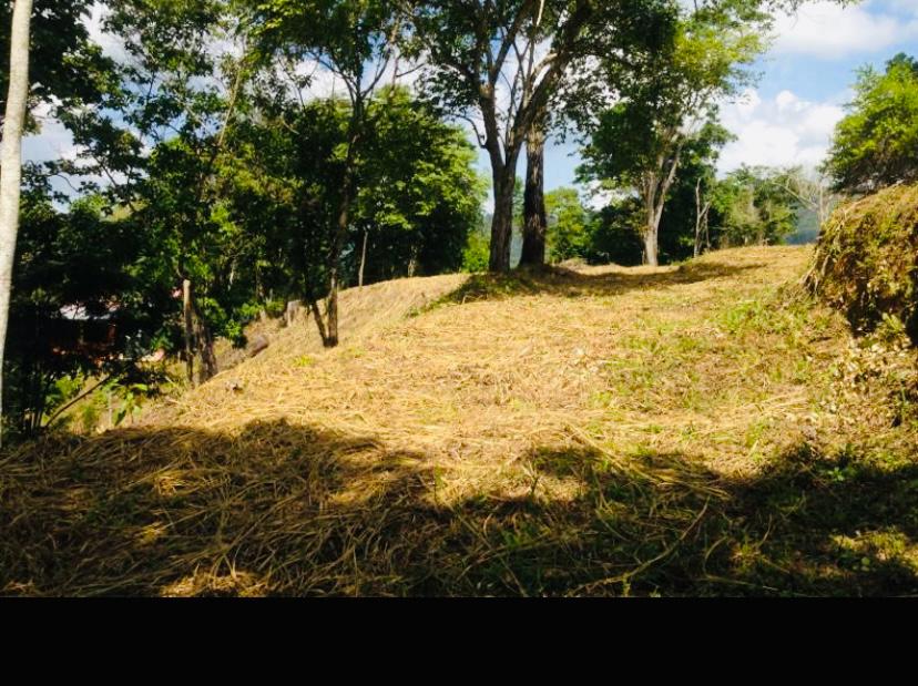 Se vende terreno 55343m² Sabaneta 3