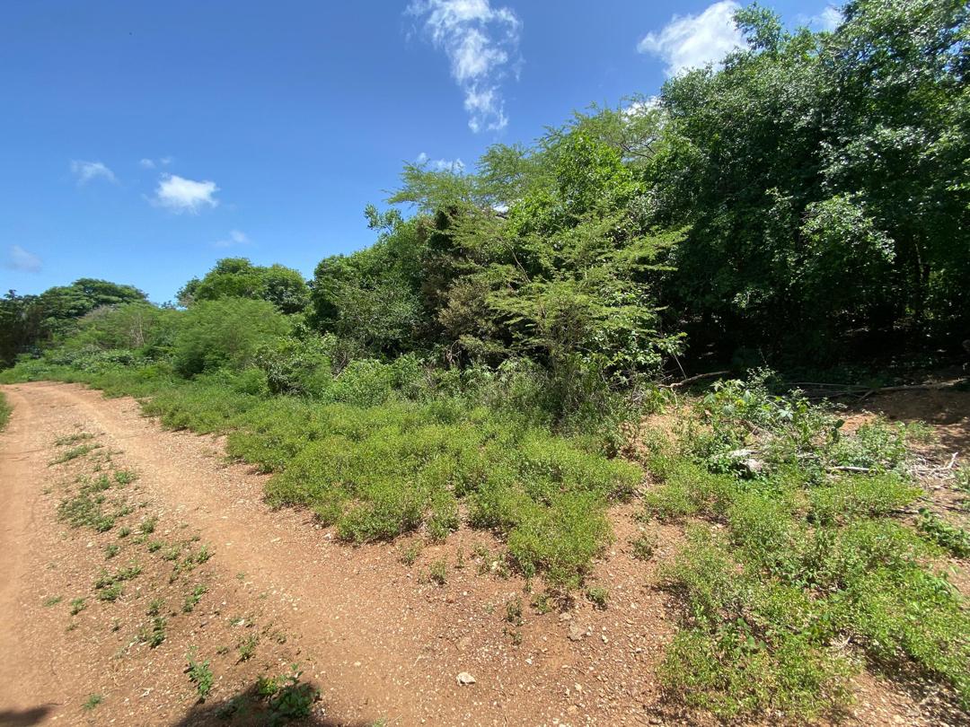 Se vende terreno 5763m² El Guayabal - Otras fotos