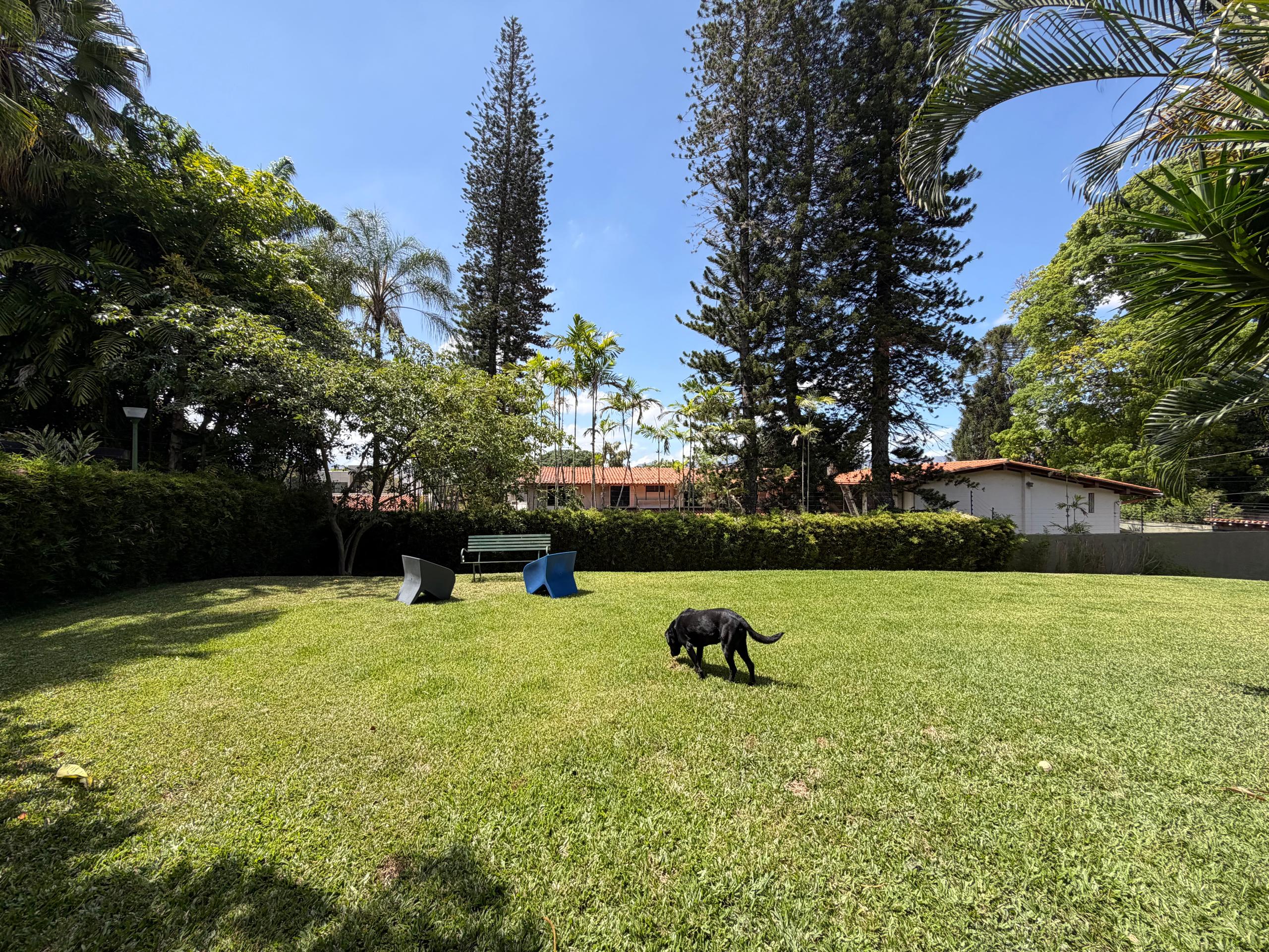 Se vende casa 600m2 6h/8b/8p Los Chorros 5735 1