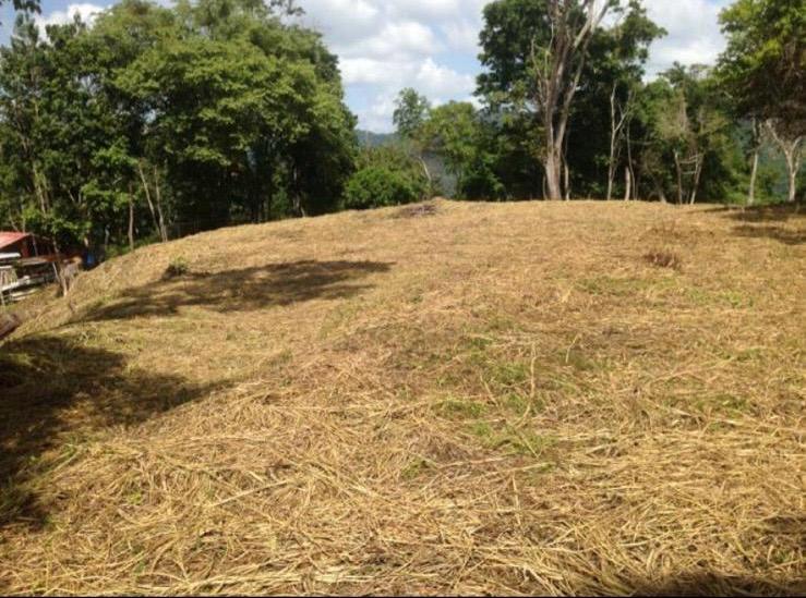 Se vende terreno 55343m² Sabaneta 4