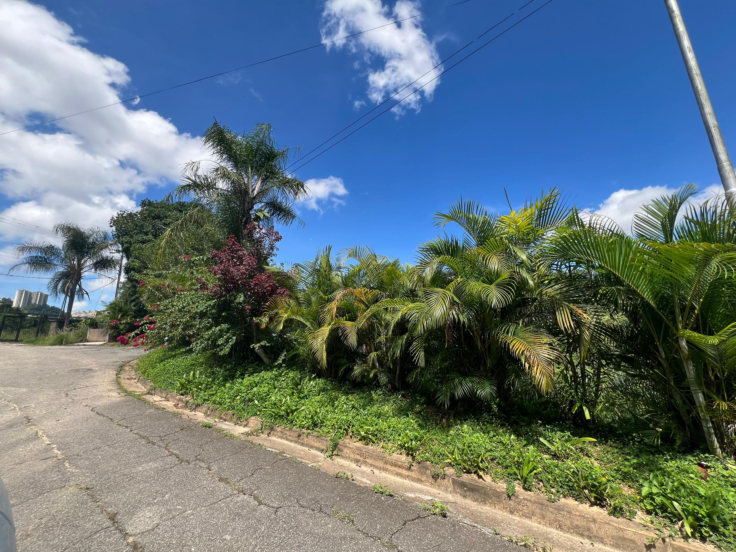 Se Vende Terreno 1850m² Cerro verde 1