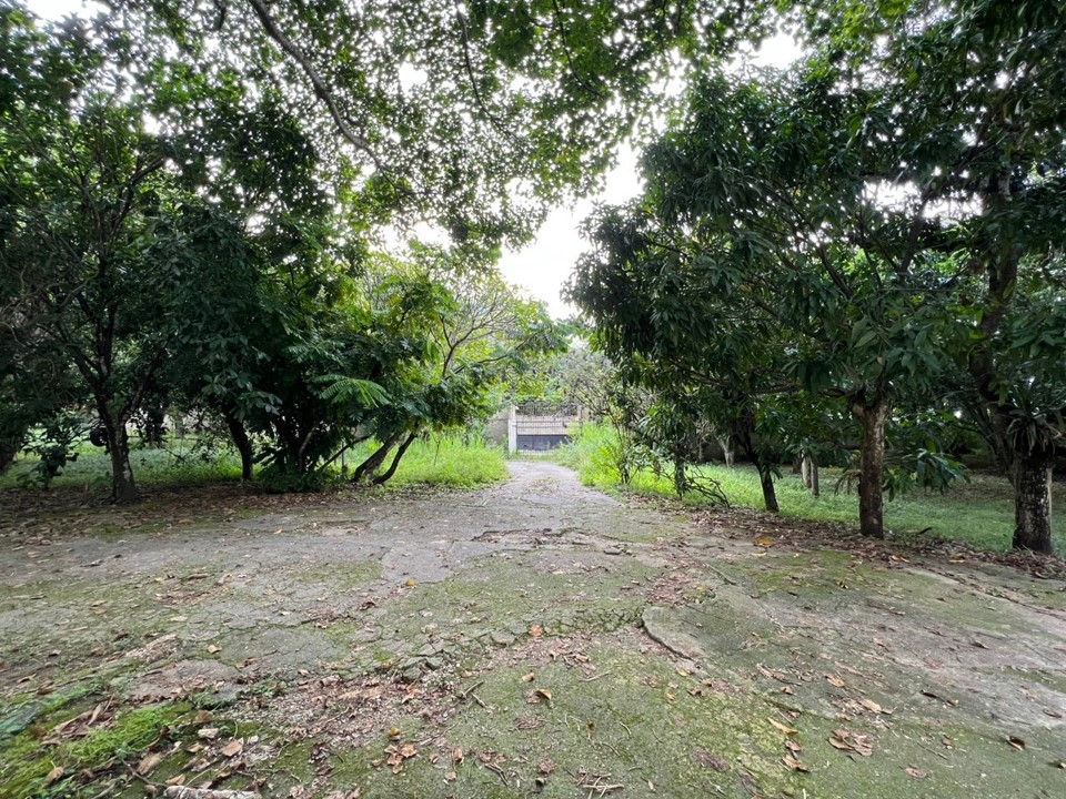 Se vende terreno 6570m² Los Chorros - Otras fotos