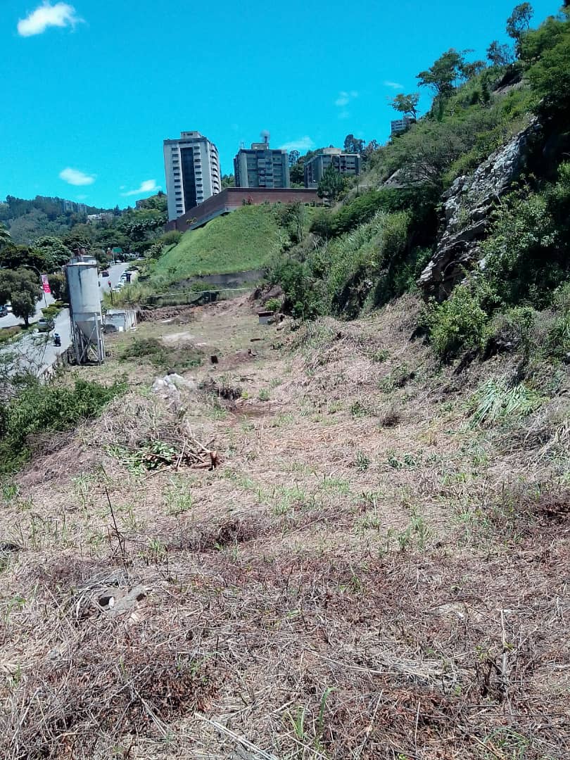 Se vende terreno 4376m² en Lomas de Prados del Este 1