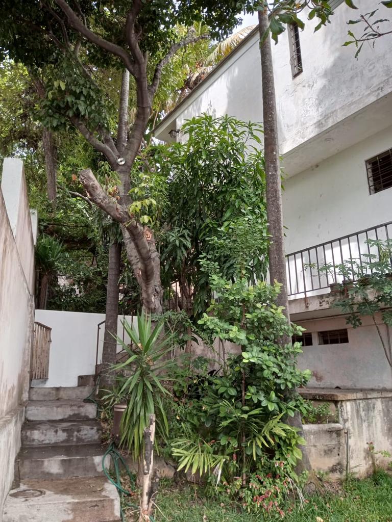 Se vende casa 620m²  10h/6b en Los Palos Grandes - Otras fotos