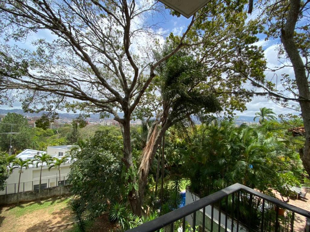 Se vende casa 1800m² - Las Lomas de Los Chorros (Urb. Los Chorros) - Otras fotos