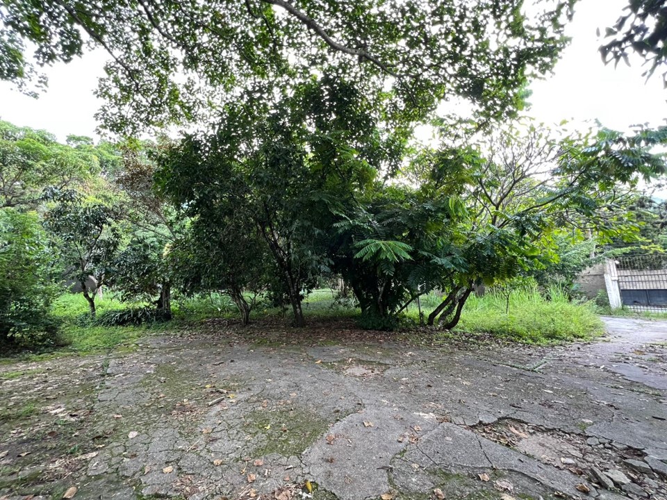 Se vende terreno 6570m² Los Chorros - Otras fotos