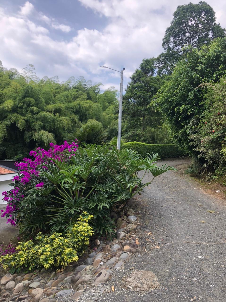 Imagen de Casa Campestre Vereda el tigre cerritos - Pereira