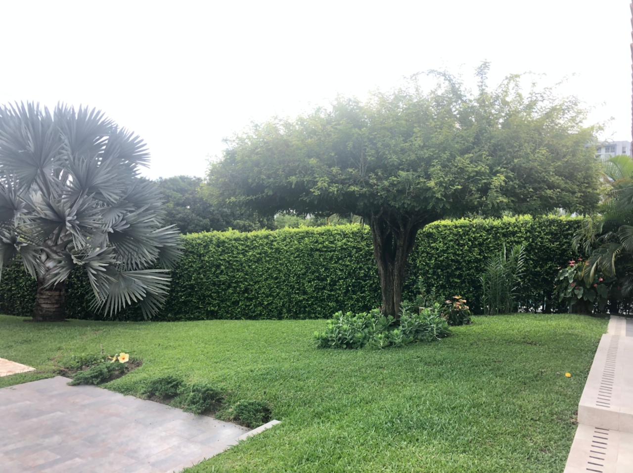Imagen de Casa Campestre Vereda el tigre cerritos - Pereira
