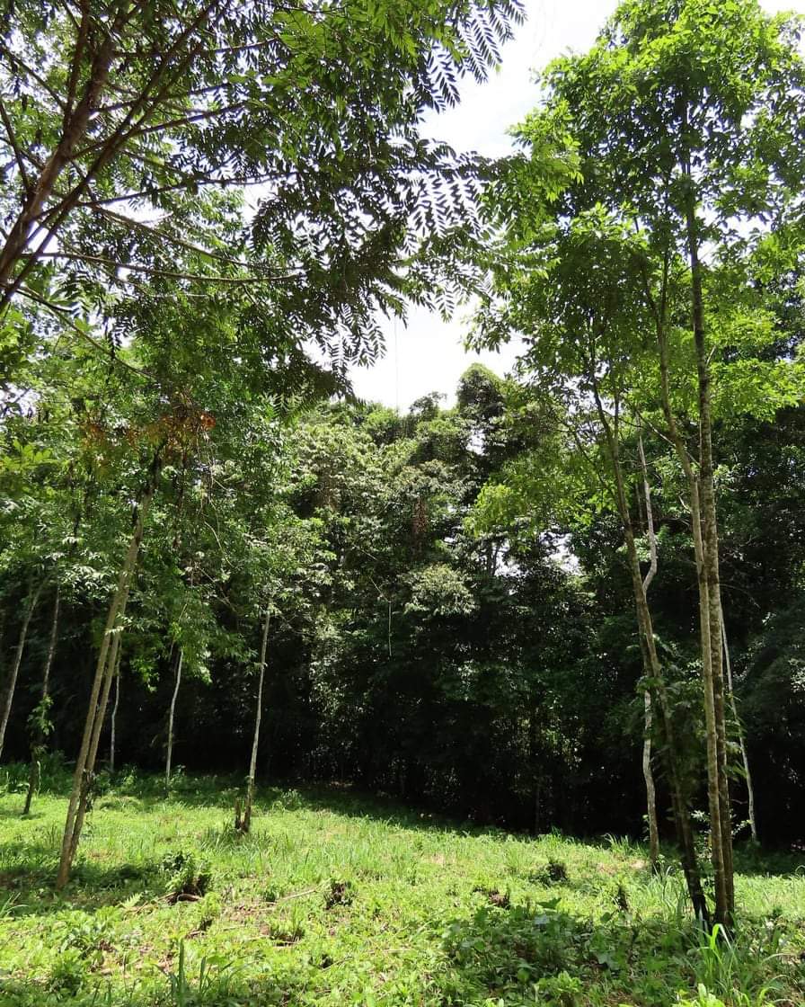 TERRENO EN BAJO RODRÍGUEZ