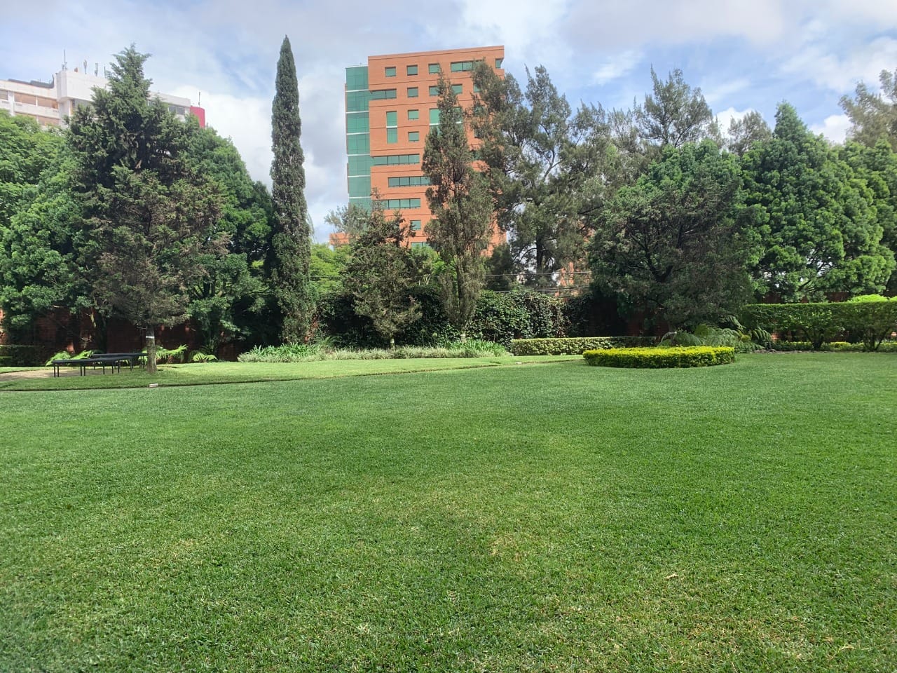 APARTAMENTO EN RENTA EN ZONA 14 - Miniatura 10