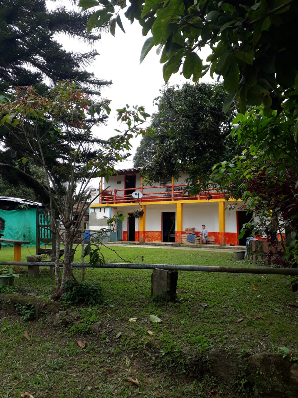 FINCA EN VENTA EN AMAGA COD 7426 - Foto 3