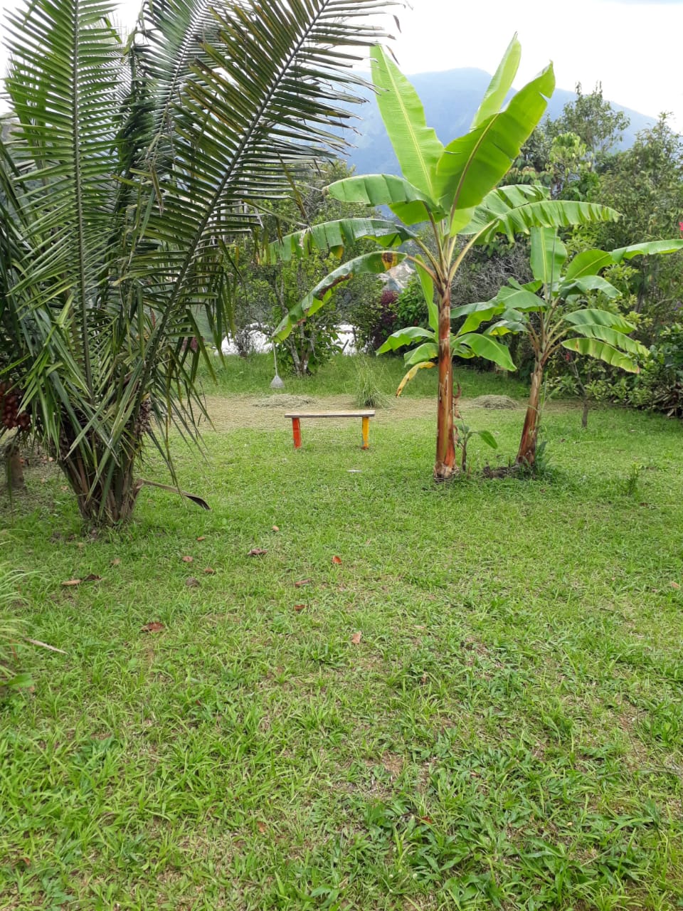 FINCA EN VENTA EN AMAGA COD 7426 - Foto 8