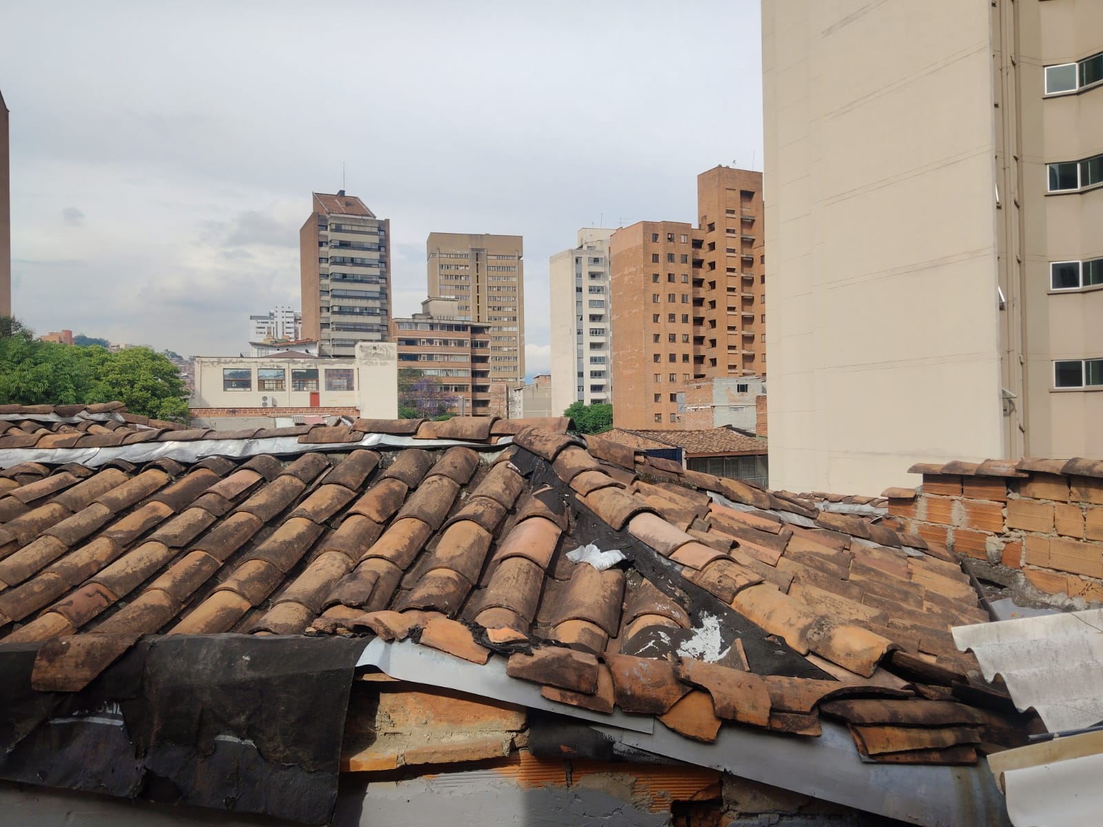 APARTAMENTO EN ARRIENDO EN LA CANDELARIA COD 10657  - Foto 13