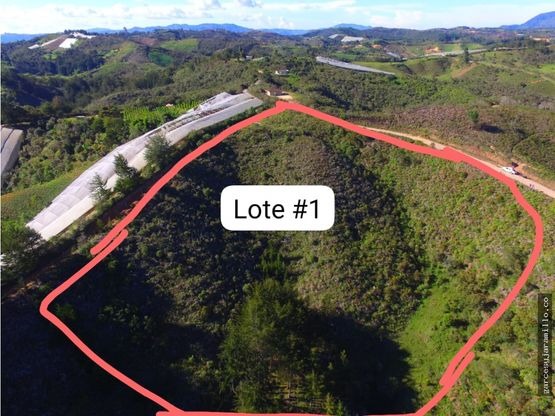 LOTE EN VENTA EN GUARNE VEREDA LA ANEA