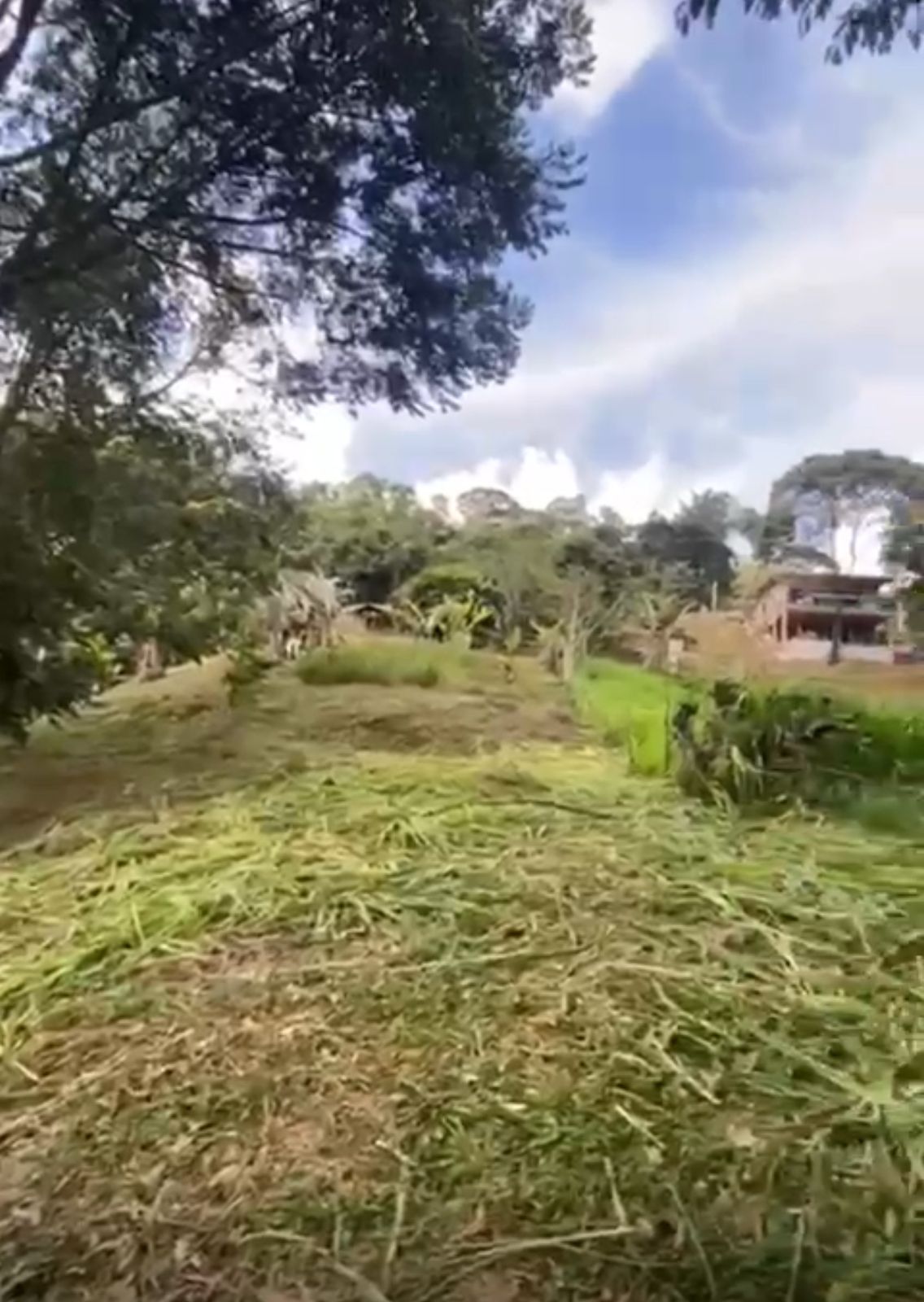 LOTE EN VENTA EN SAN CARLOS ANTIOQUIA COD 9685