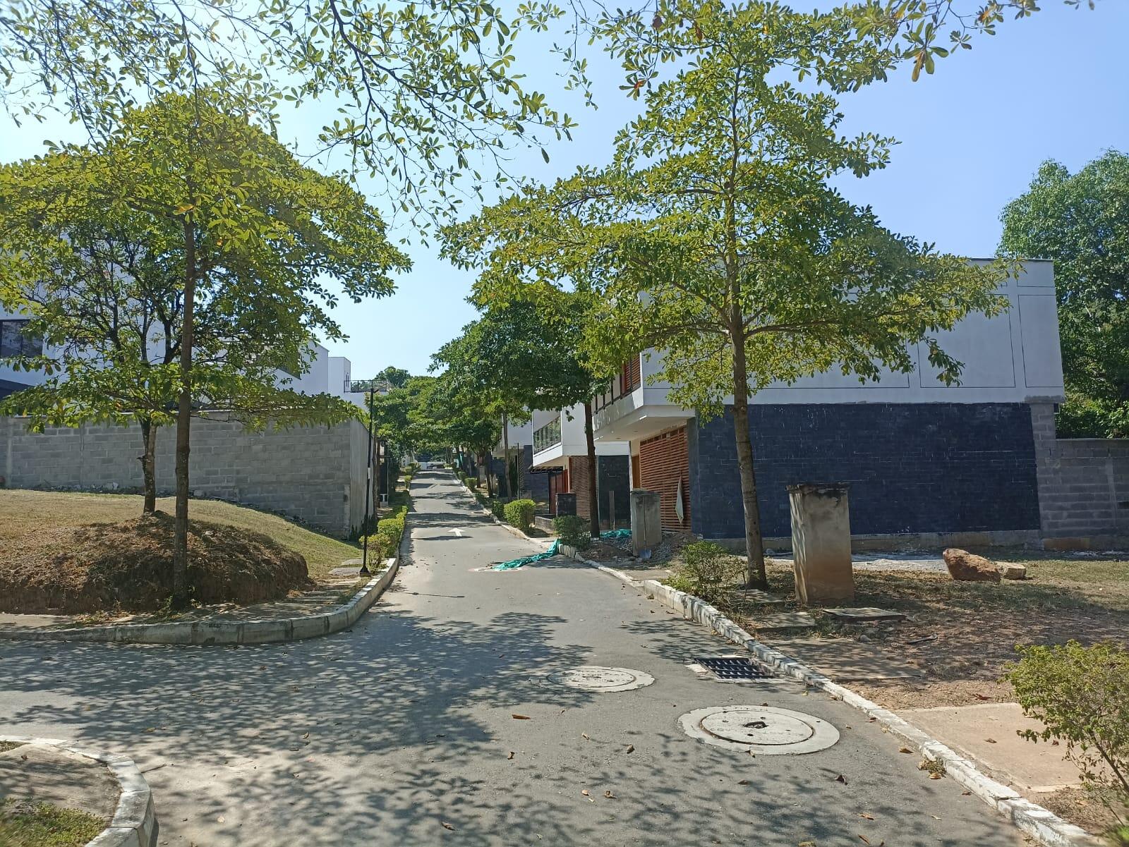 LOTE EN VENTA EN SOPETRAN COD 9996 - Foto 10