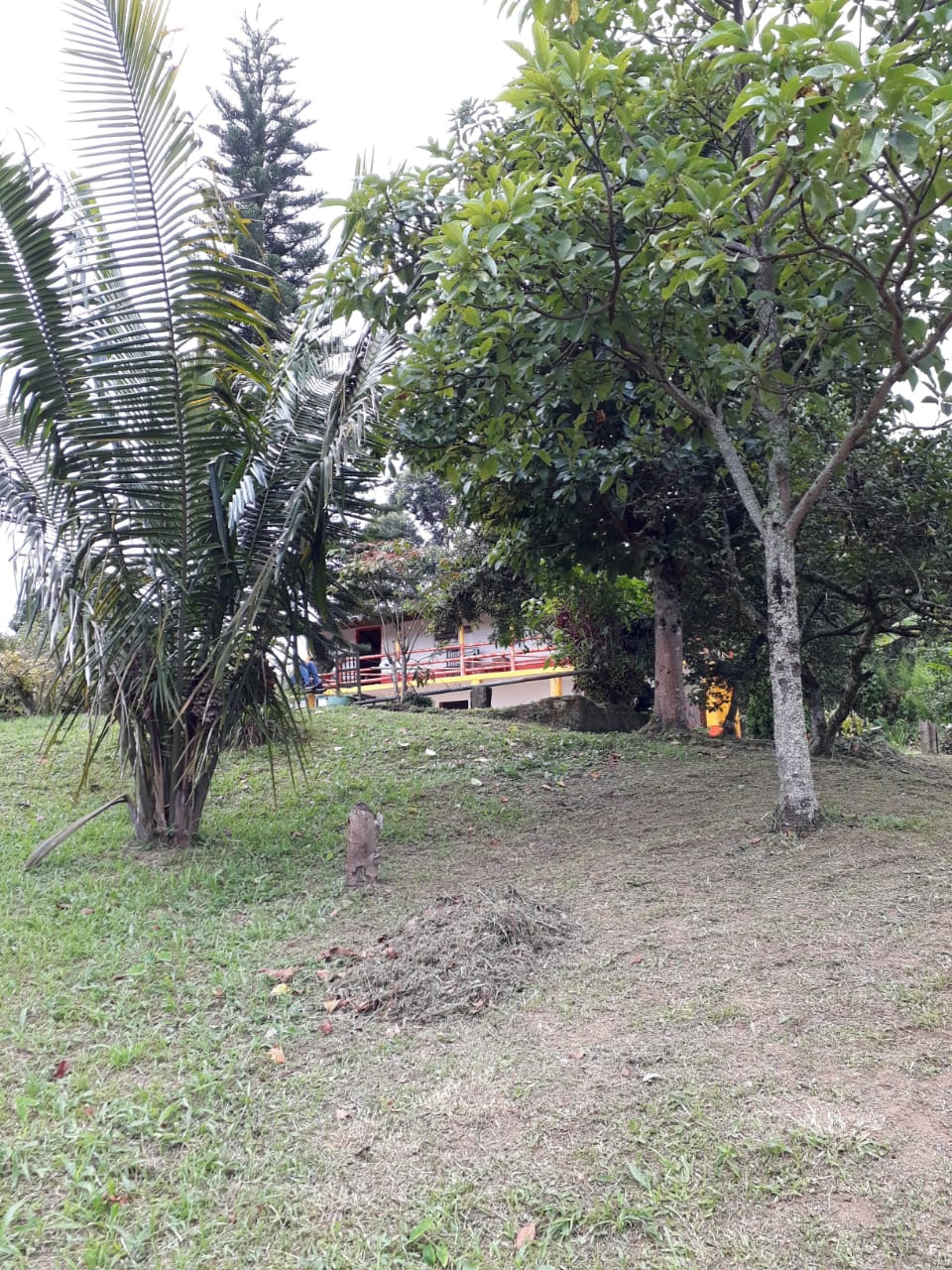 FINCA EN VENTA EN AMAGA COD 7426 - Foto 5