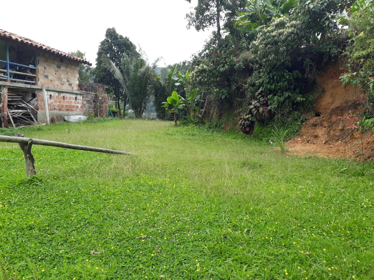 FINCA EN VENTA EN AMAGA COD 7426 - Foto 6