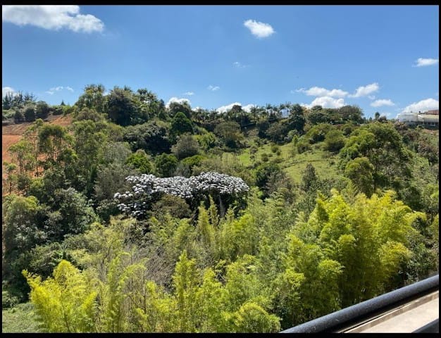 APARTAMENTO EN VENTA EN RIONEGRO COD 10213 - Foto 20