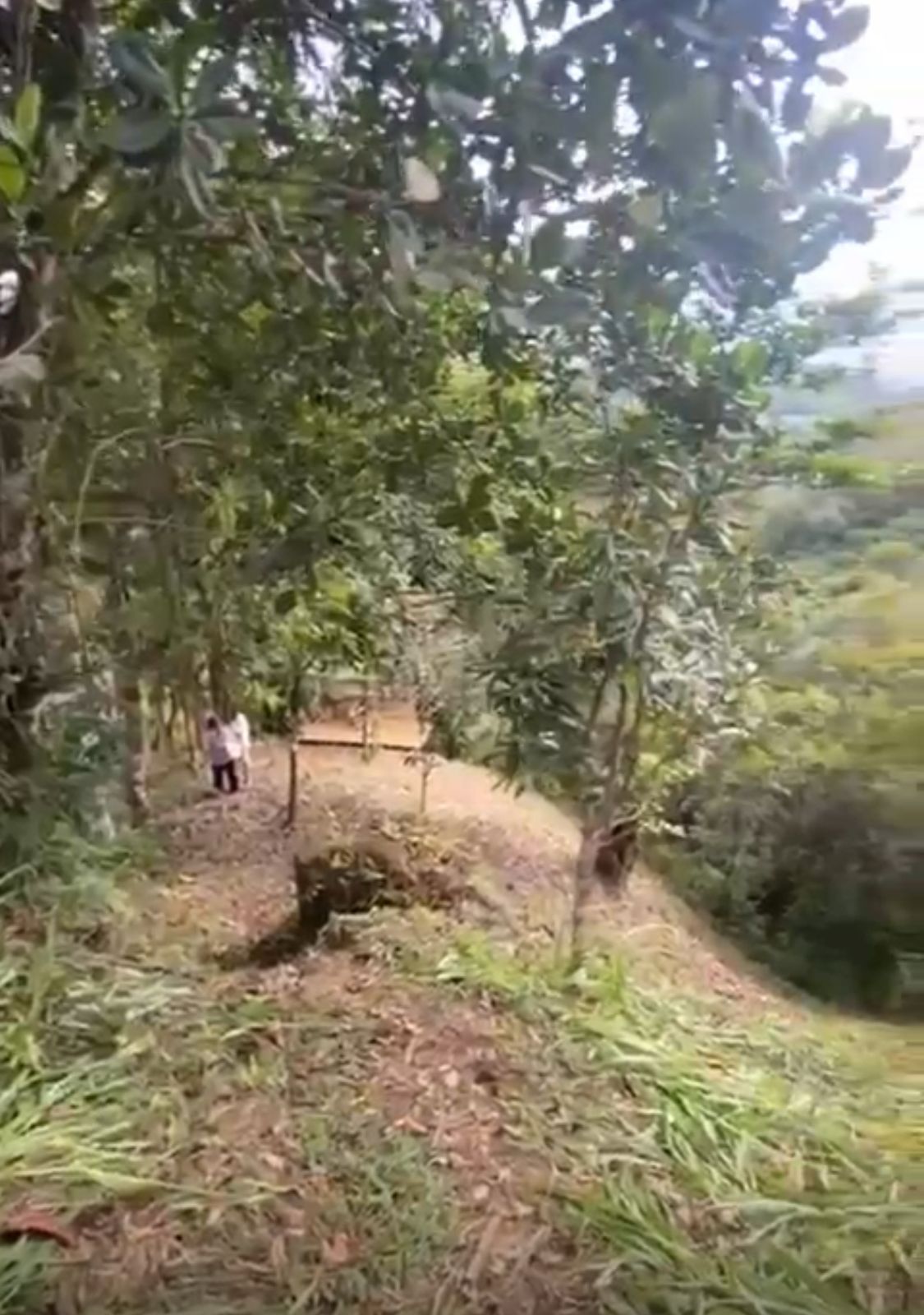 LOTE EN VENTA EN SAN CARLOS ANTIOQUIA COD 9685 - Foto 2