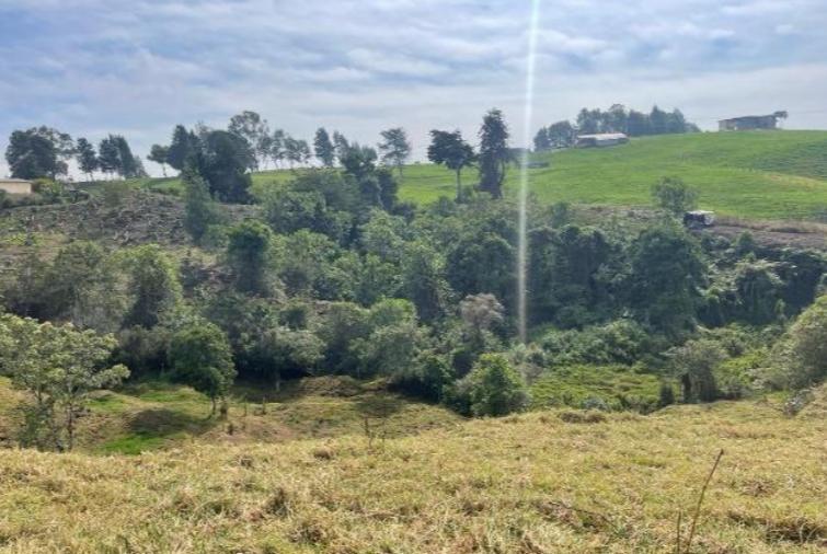 LOTE EN VENTA EN SANTA ROSA OSOS COD 9860 - Foto 2