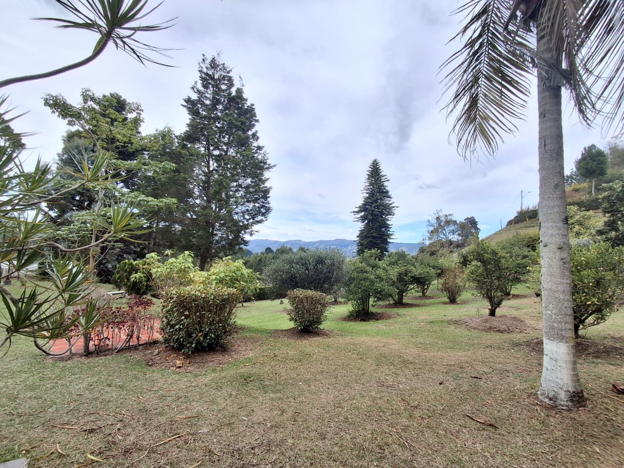 FINCA EN ARRIENDO EN GUARNE COD 10796 - Foto 18