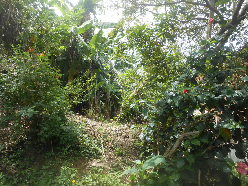 CASA EN VENTA EN RIONEGRO COD 4781 - Foto 27