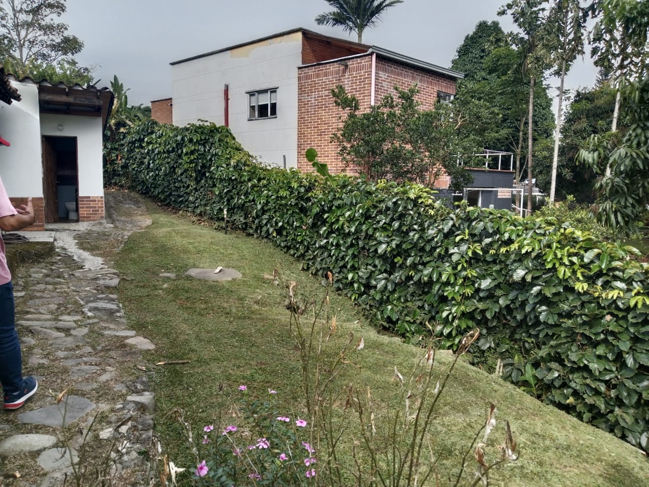 CASA  FINCA EN VENTA EN ENVIGADO COD 9720 - Foto 17