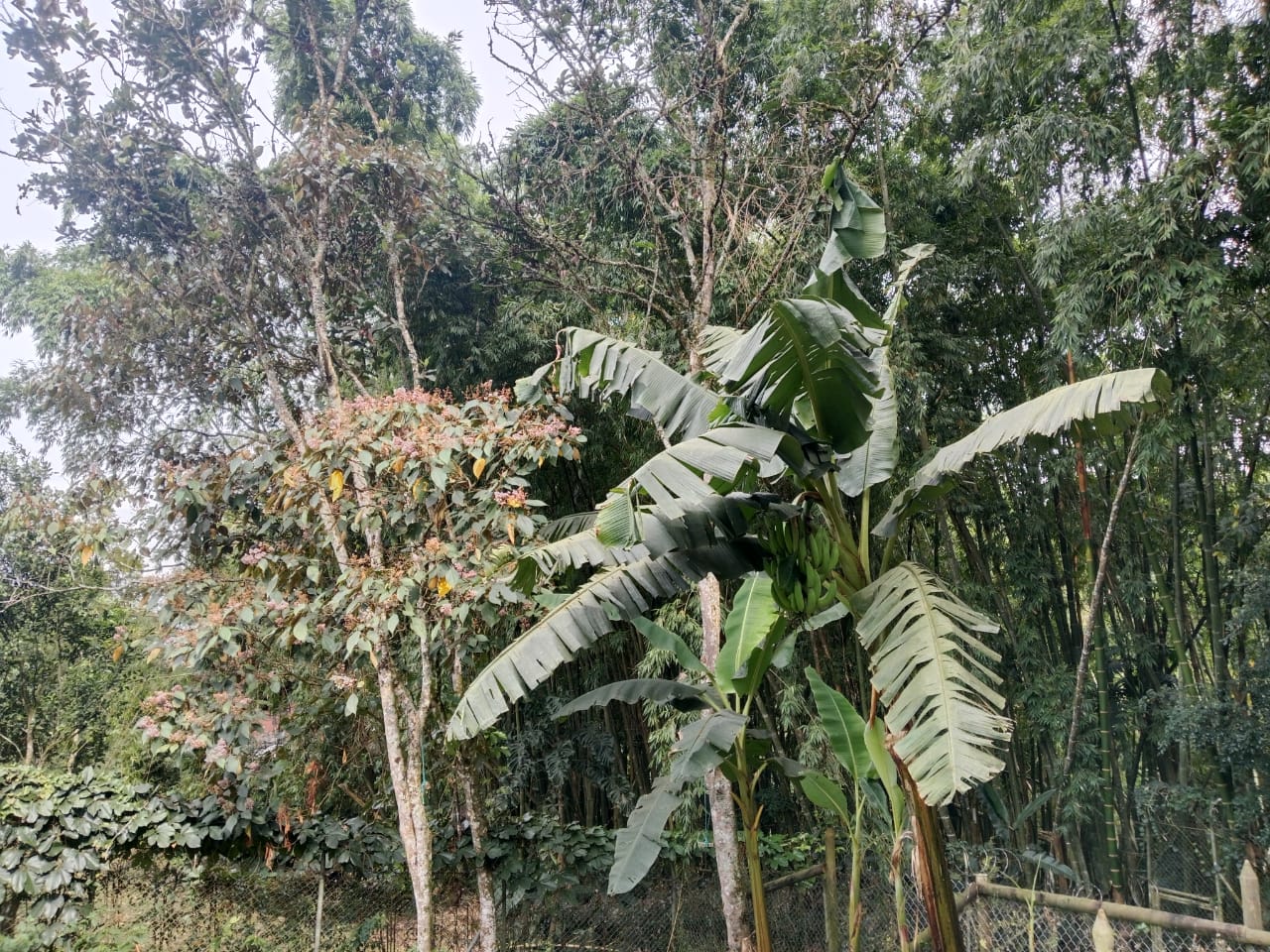 CASA  FINCA EN VENTA EN ENVIGADO COD 9720 - Foto 30