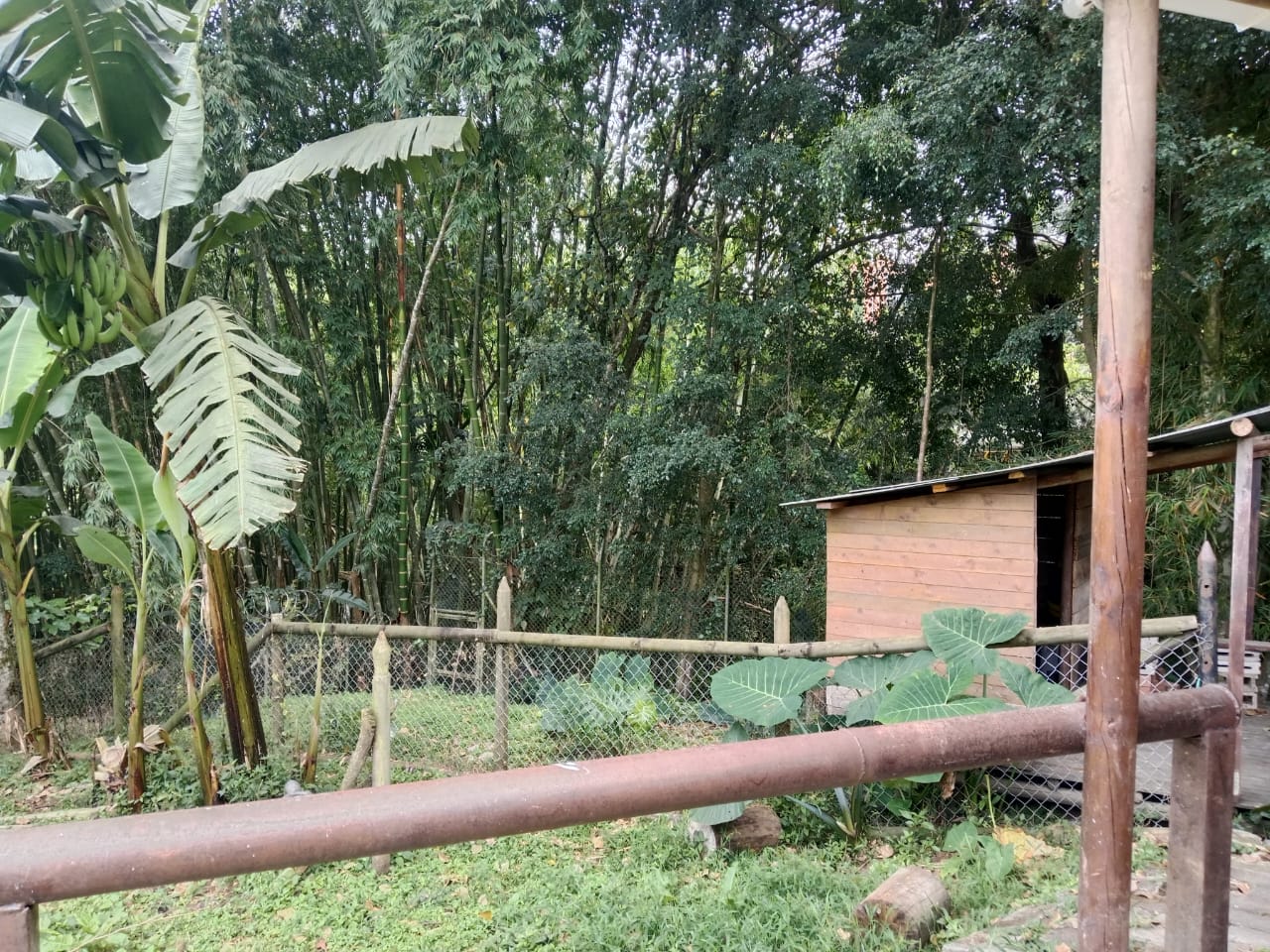 CASA  FINCA EN VENTA EN ENVIGADO COD 9720 - Foto 24