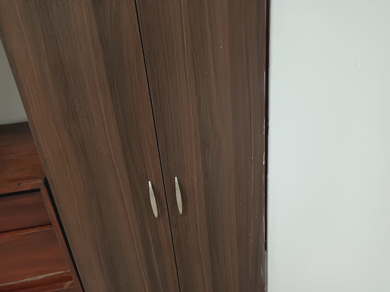 APARTAMENTO EN VENTA BOSTON COD 8056 - Foto 3