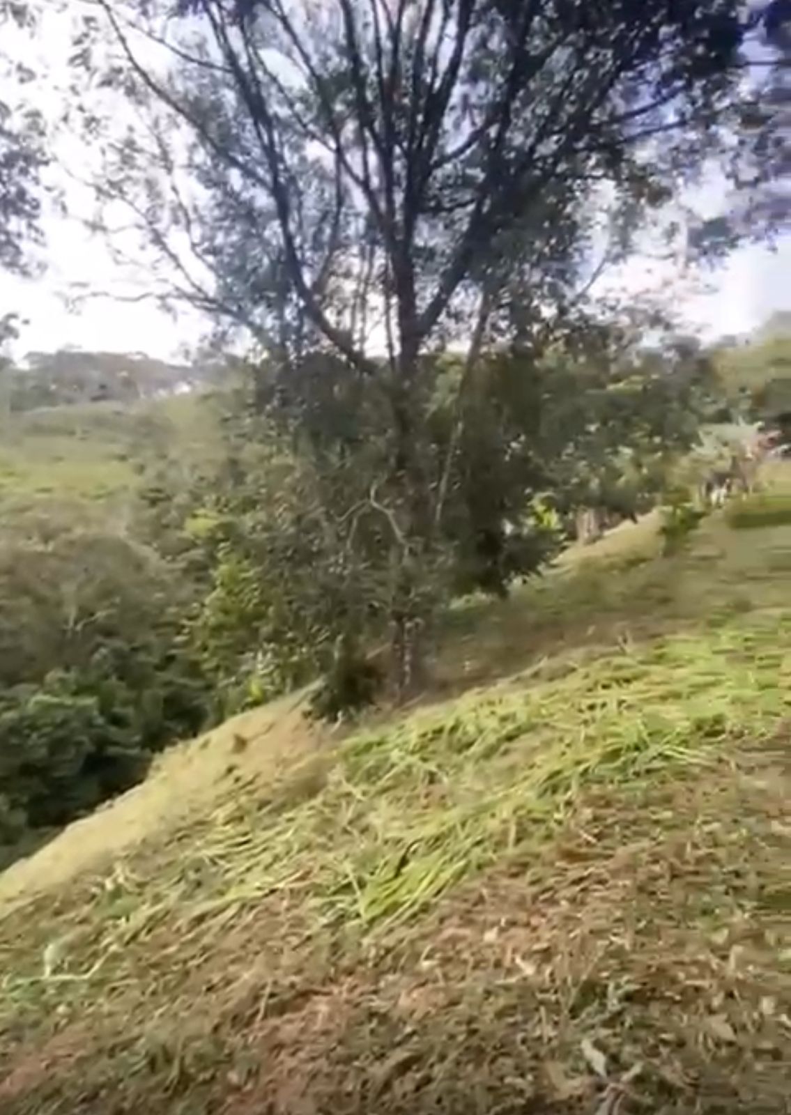 LOTE EN VENTA EN SAN CARLOS ANTIOQUIA COD 9685 - Foto 3