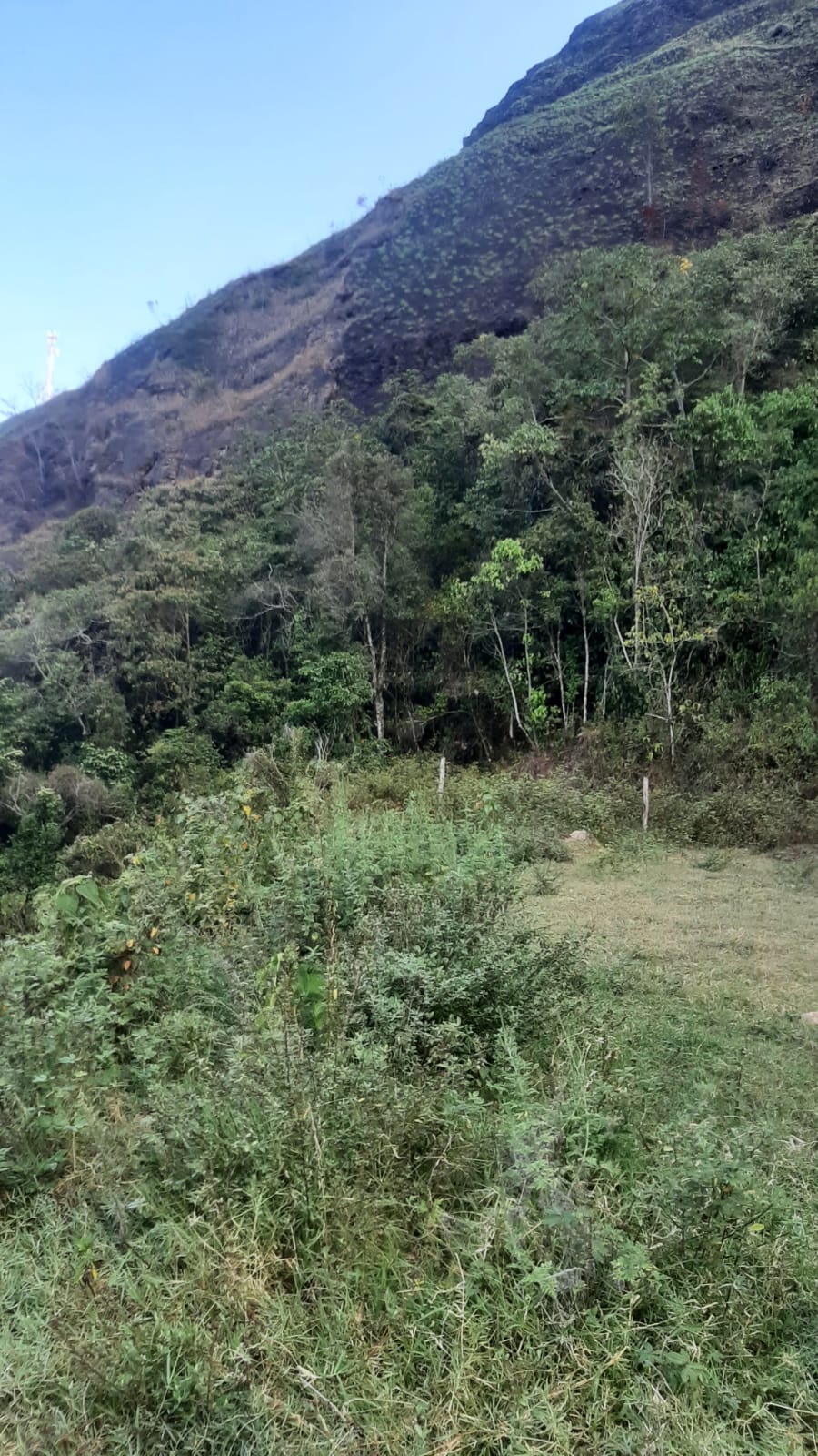 LOTE EN VENTA LA VEREDA CAULLAL DE COPACABANA - Foto 4
