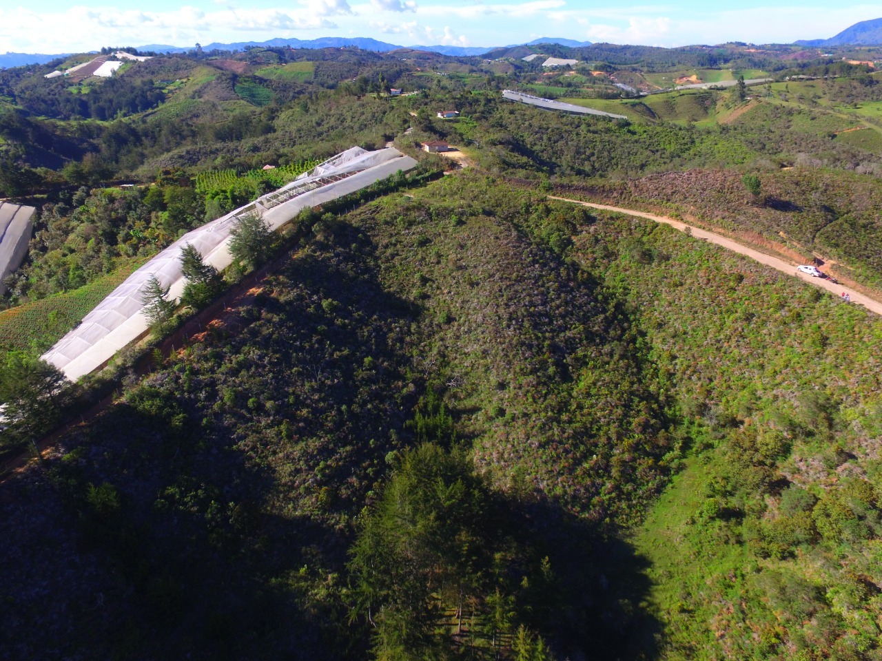 LOTE EN VENTA EN GUARNE VEREDA LA ANEA - Foto 4