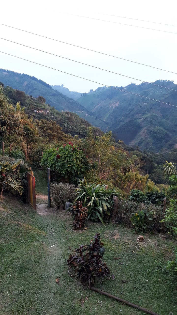 FINCA EN VENTA EN AMAGA COD 7426 - Foto 9