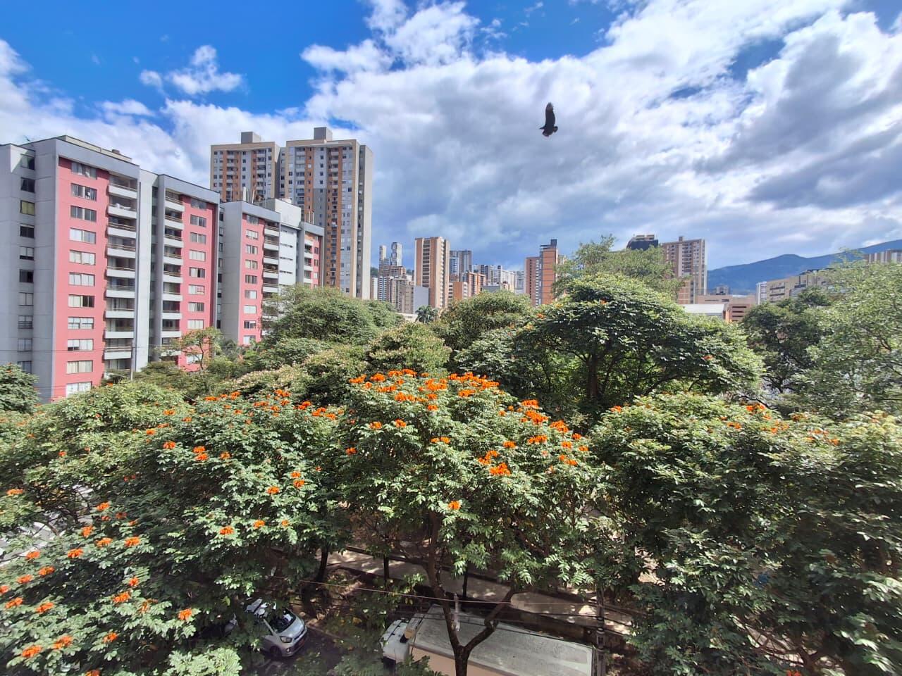 APARTAMENTO EN ARRIENDO EN SABANETA COD 10828 - Foto 14
