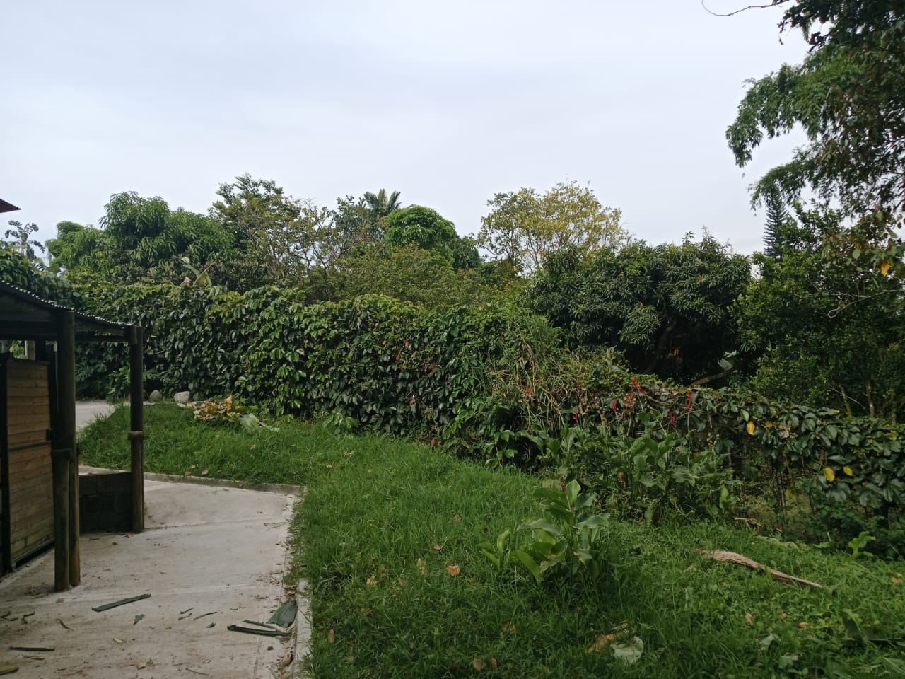 CASA  FINCA EN VENTA EN ENVIGADO COD 9720 - Foto 33